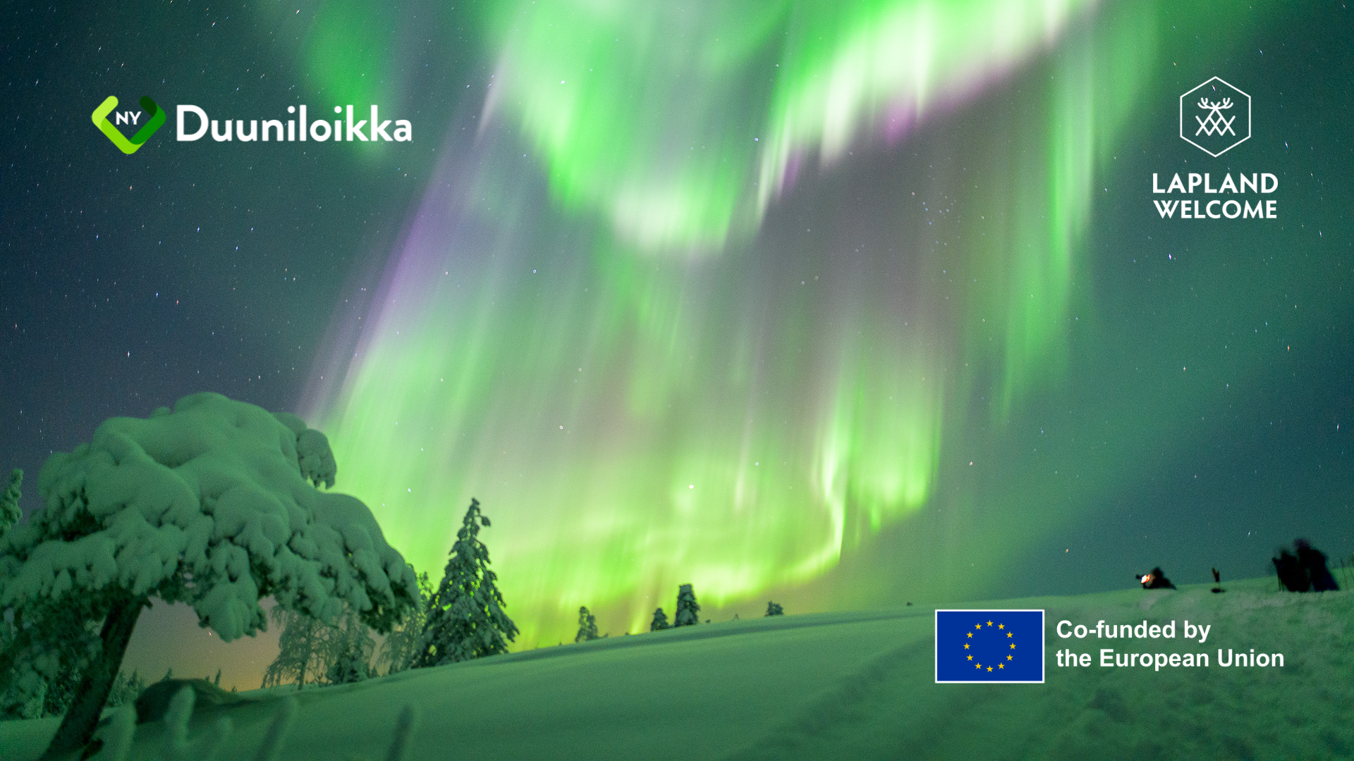A winter landscape with aurora borealis in the background.
