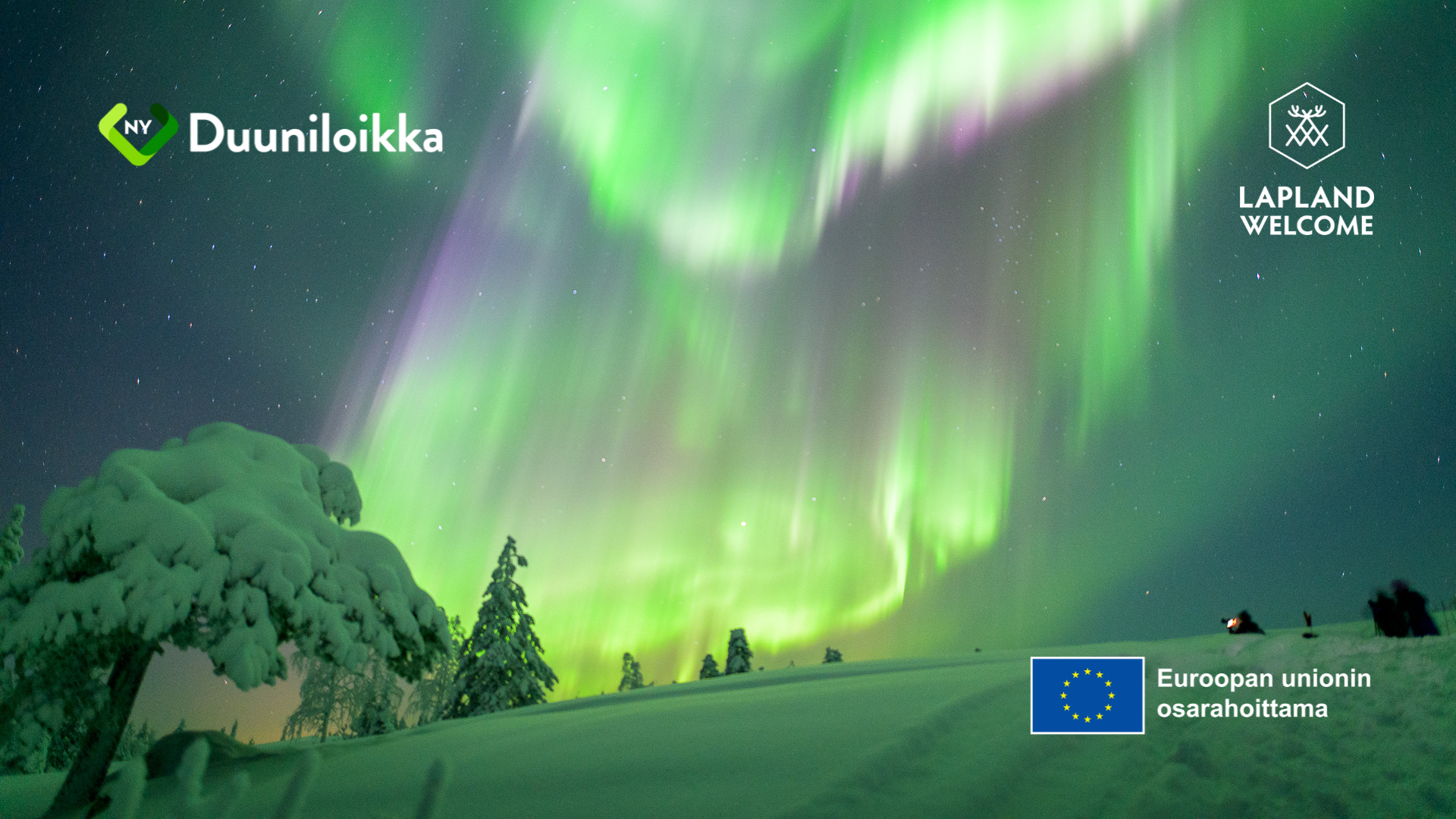 Talvimaisema, jossa taustalla revontulet.